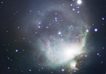 Orion Nevel Gerard Veenhof